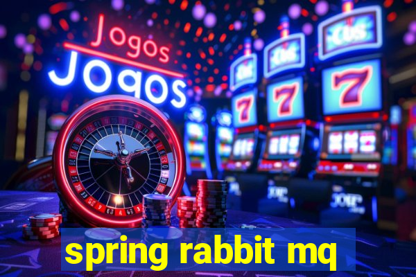 spring rabbit mq